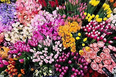 年度最受期待FPS大作《战地风云2042》上线， 前往Steam抢先体验！